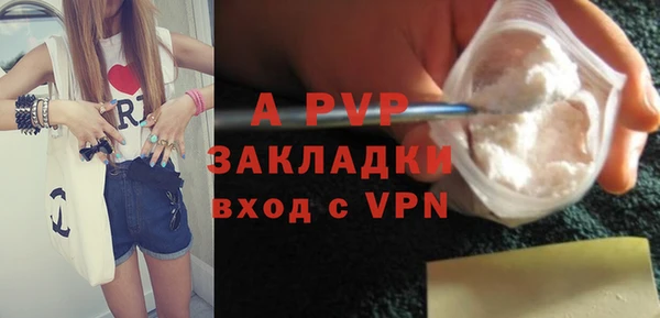 шишки Гатчина