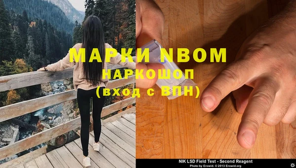 молекула духа Надым