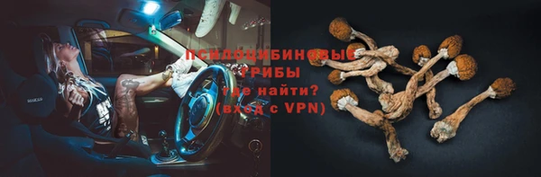 молекула духа Надым