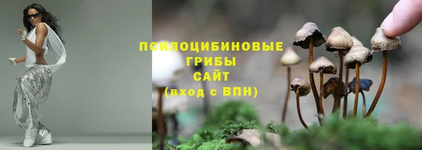 прущая мука Навашино