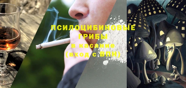 молекула духа Надым